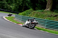 cadwell-no-limits-trackday;cadwell-park;cadwell-park-photographs;cadwell-trackday-photographs;enduro-digital-images;event-digital-images;eventdigitalimages;no-limits-trackdays;peter-wileman-photography;racing-digital-images;trackday-digital-images;trackday-photos